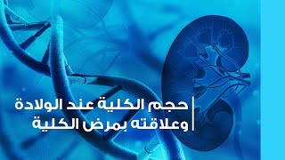 حجم الكلية عند الولادة و علاقته بمرض الكلية