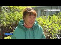 Иркутские селекционеры удивляют приморцев новинками плодовых культур