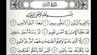 سورة التين القارئ صالح الصاهود