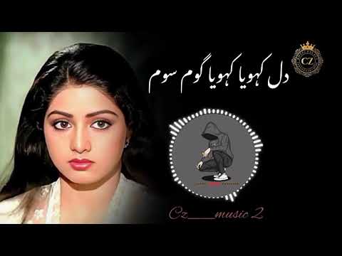 Dil Koya Koya Gum Sum Trending Viralsong Trending Viralvideos Viralsong