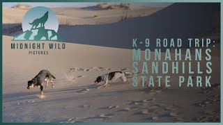 K9 Road Trip:  Monahans Sandhills State Park