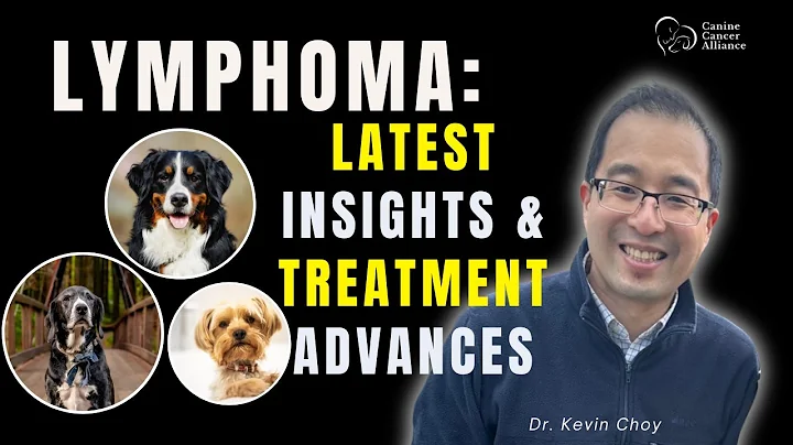 Latest Insights & Treatments for Canine Lymphoma with Dr. Kevin Choy (2025)