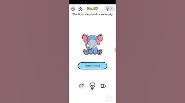 SOLUTION Brain Out Level 67 Walkthrough | Little Elephant  .