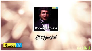 El Aguajal - Rodolfo Aicardi Y Su Típica Ra7 / Discos Fuentes [Audio Oficial] chords