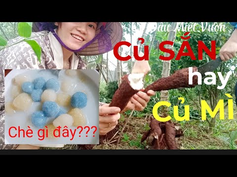 Video Cách nấu chè
