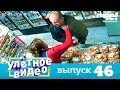 Улетное видео | Выпуск 46