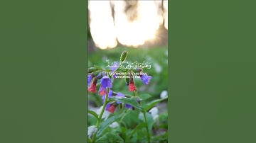 ولقد خلقنا الإنسان ونعلم ما توسوس به نفسه ونحن أقرب إليه من حبل الوريد | القارئ: محمد صديق المنشاوي