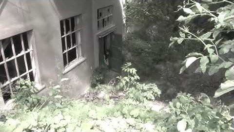 Wurschtforce - WurschtCore Version