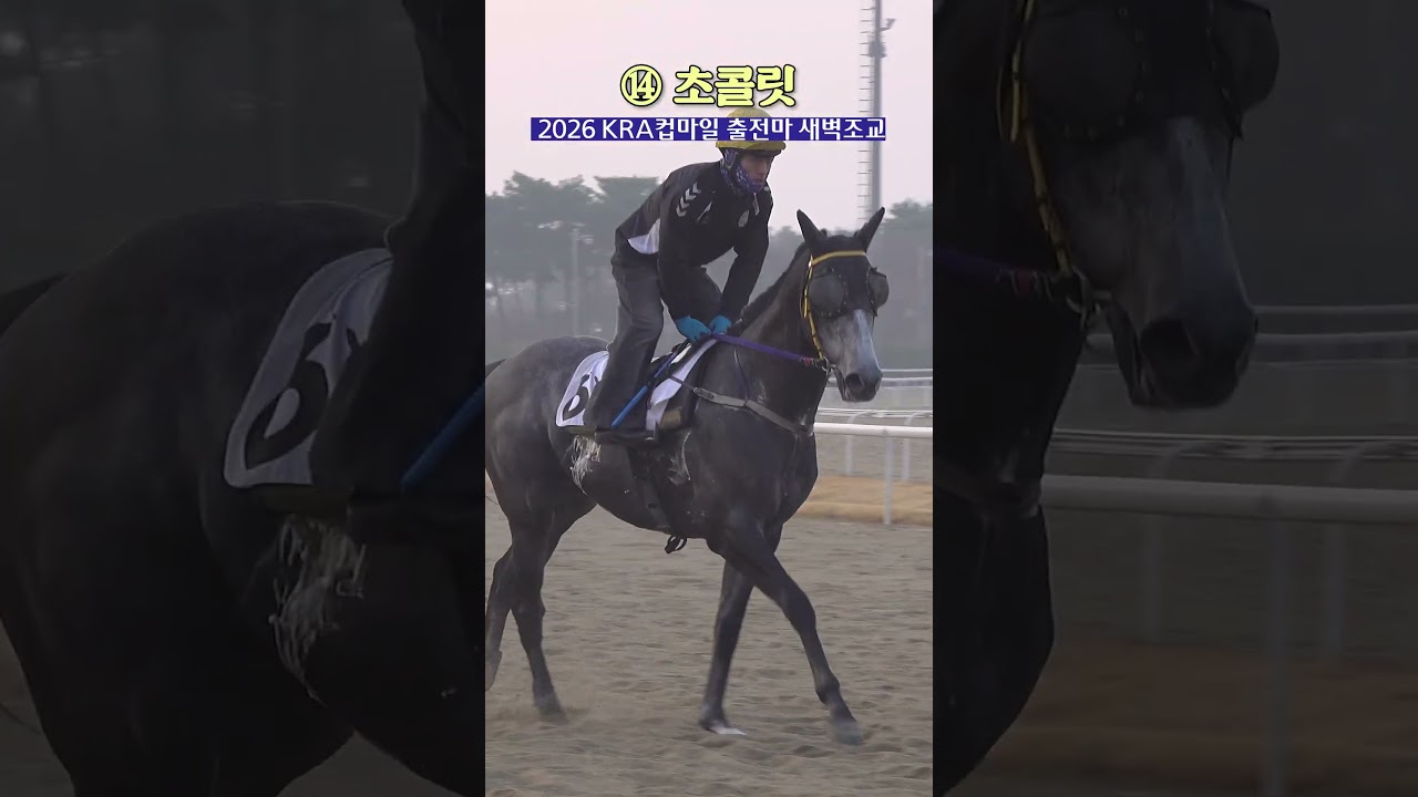 인터뷰 없어서 서운했던 #초콜릿 팬도 모여라ㅣ#KRA컵마일 #새벽조교