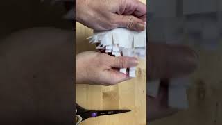 Building and Creating with Paper: Pleated Fringe
