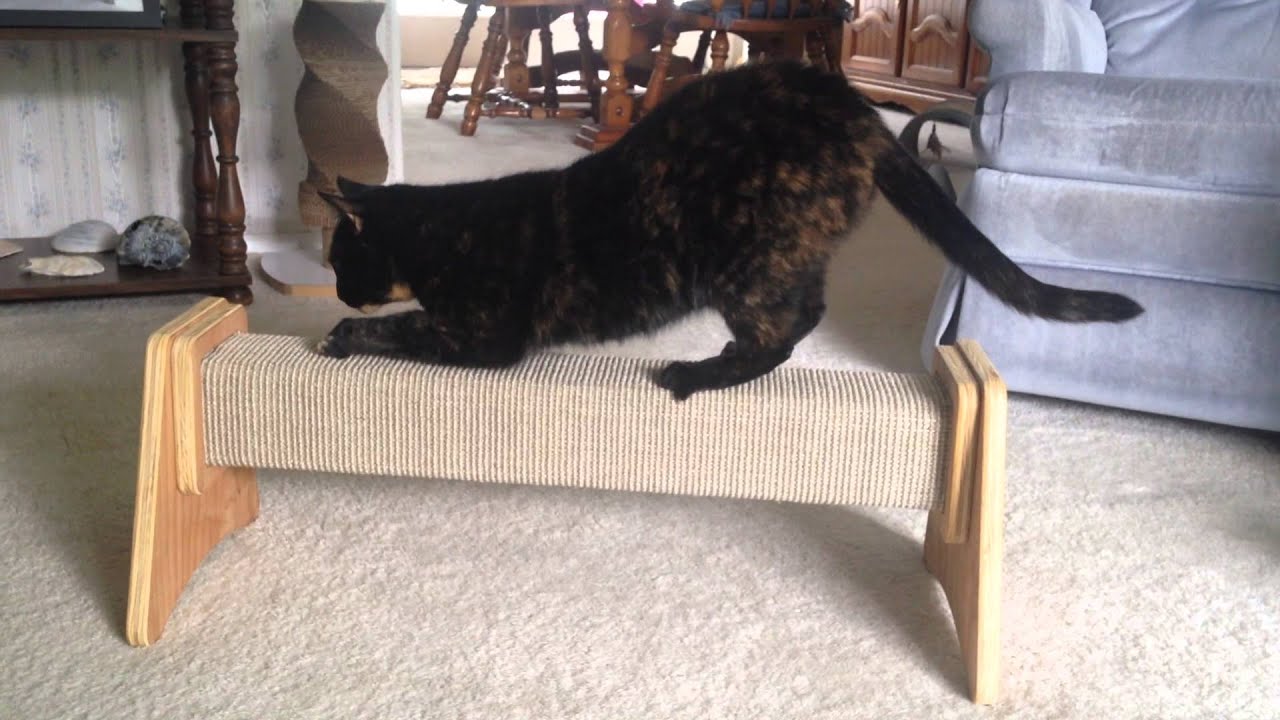 felix scratching post