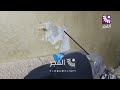  اعتقلوني من بيتي   حكتلهم ما ت ض ربون ي قدام زوجتي وولادي  هذا ما حدث في أحد المنازل بحارة  الحمام  حالتي