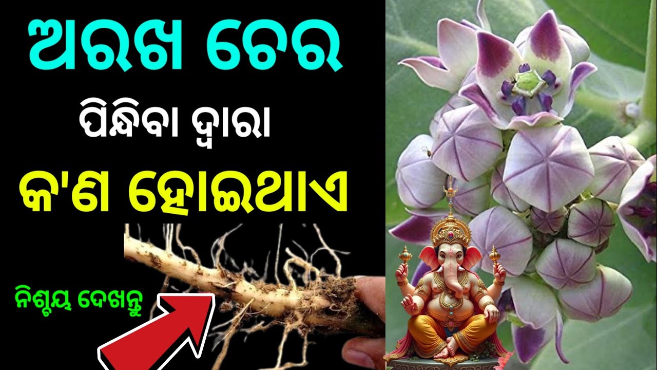 ଅରଖ ଚେର ପିନ୍ଧିବା ଦ୍ୱାରା କଣ ହୋଇଥାଏ  । Vastu Tips For Home /Vastu Sastra 