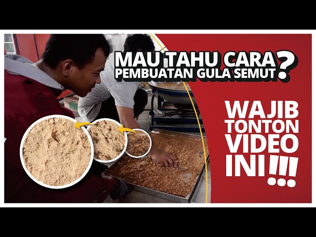 Cara Membuat Gula Semut bersama Rumah Mesin | 0821 3534 1996 class=