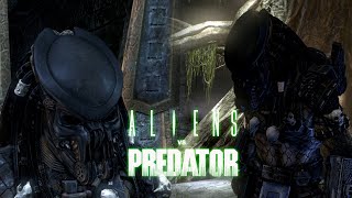 Aliens vs. Predator (2010) - Celtic (Hunter) Predator in Cutscenes