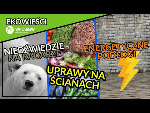 #Ekowieści WFOŚiGW w Białymstoku - odc. 7 | 15.07.2022