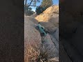 SCX30 HILL CLIMB