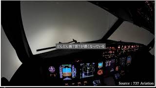 【コックピット映像切抜き】Boeing 737が自動操縦でILSアプローチ〜着陸！滑走路が着陸ギリギリまで見えない〜ILS CatⅡApproach〜