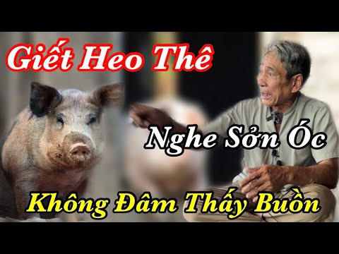 Video Nhân Quả : Nghề Giết Heo Thuê - Khét Tiếng Vùng... - youtube