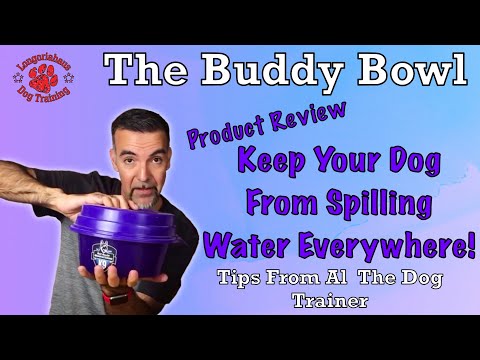 stop-your-dog-from-spilling-water-|-buddy-bowl-review--tips-from-al-the-dog-trainer