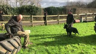 Nasdu Level 2 GP switch on drill