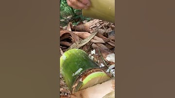 techniques and skills to cut bamboo with machetes #shorts