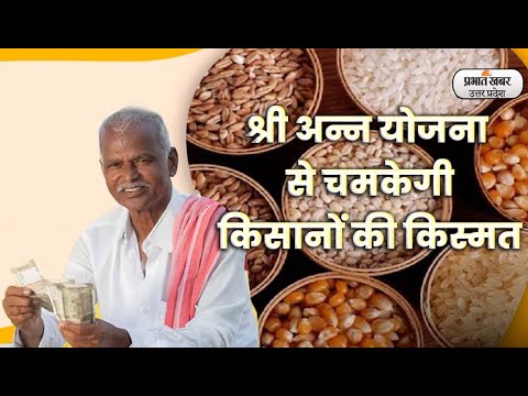 Millets Benefits:  योगी सरकार क‍िसानों को फ्री बांटेगी मोटे अनाजों के बीज