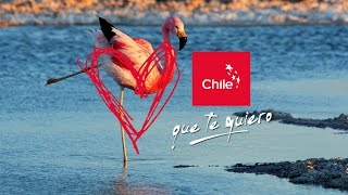 Chile que te quiero: Antofagasta