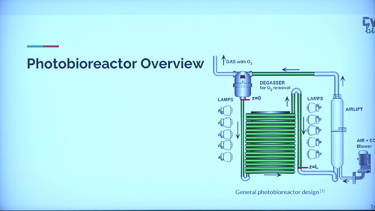 Continuous Process for Production of Bioethanol from Modified