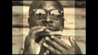 Video thumbnail of "Sonny Terry-Beer Garden Blues"