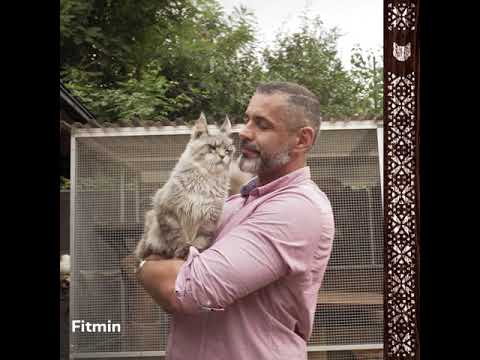 Video: Mražené Sušené Krmivo Pro Kočky