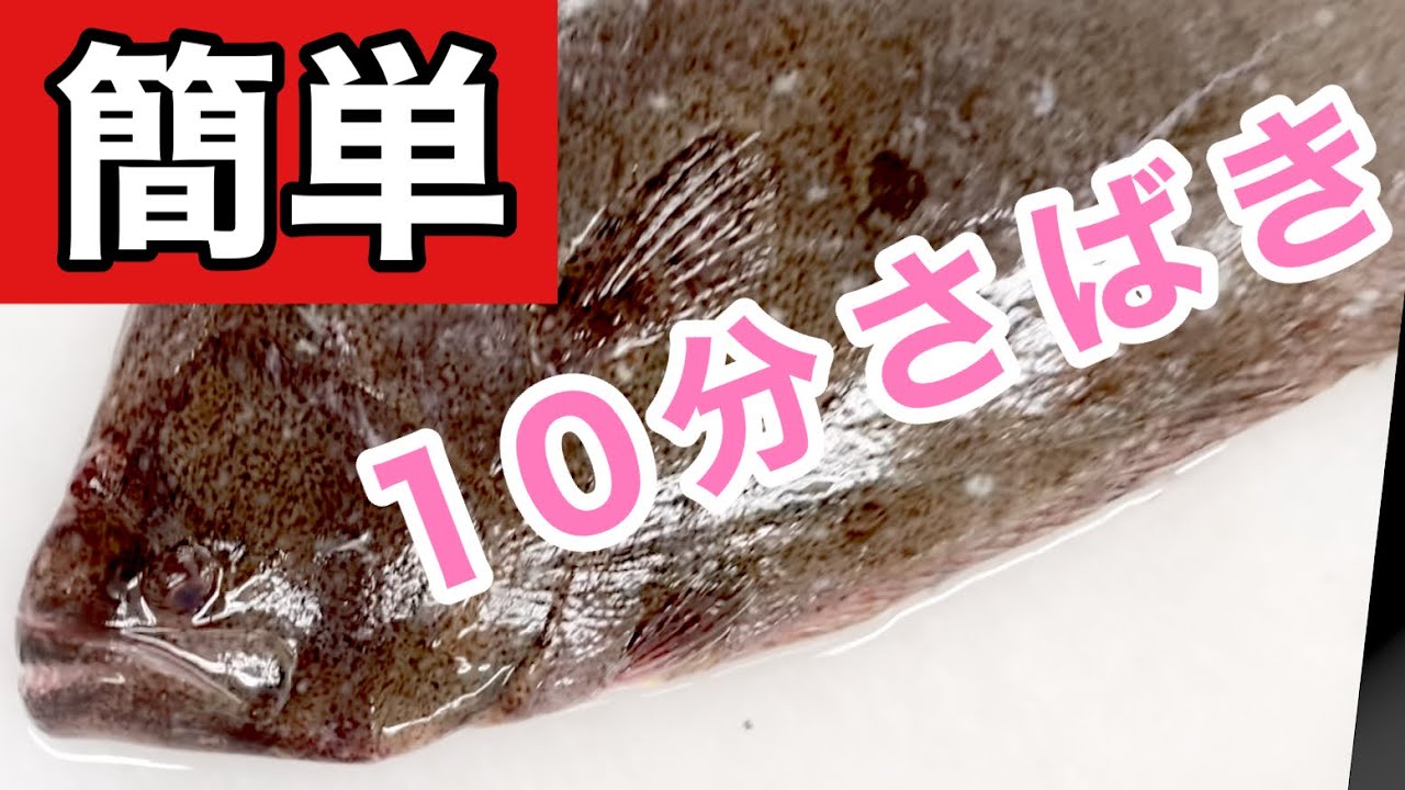 ヒラメ捌き方五枚おろし(皮引き)How to filet Olive Flounder
