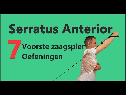 Video: Serratus Anterieure Pijn: Oorzaken, Symptomen, Behandelingen En Oefeningen