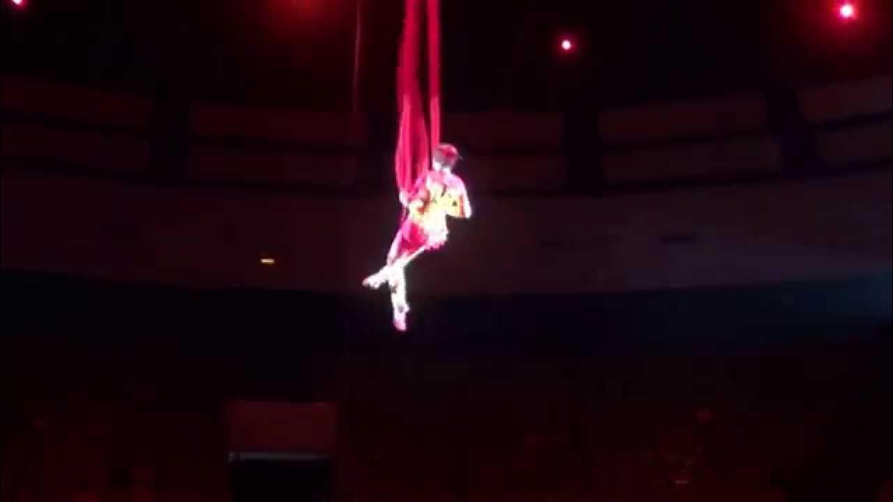 Разбилась в цирке. В Рязанском цирке упала гимнастка. Падение в цирке. Гимнасты в цирке. Артистка цирка.