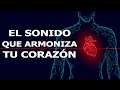 Sanar el corazn  control ansiedad  paz interior taquicardia bradicardia arritmias