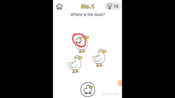 brain out crazy find level 1 //where is a duck? //#EASYPEASYGAMING