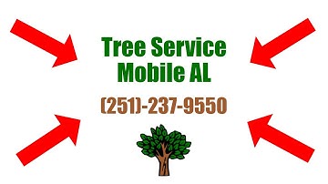 Best Mobile AL Tree Services - Mobile AL Tree Removal Services - Stump Grinding in Mobile Alabama