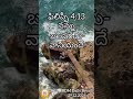 అనుదిన జీవాహారము | 29.12.2024 | BDM Daily Bread in 4 Languages