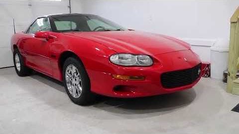 Camaro And Trans Am Window Motor Replacement (ss,z28,ws6)