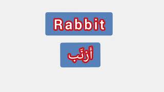 '' Rabbit ..  ترجمة كلمة انجليزية الى العربية - '' ارنب