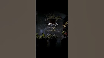 #المنشاوي #تلاوات #آيات #القرآن_الكريم #قرآن #تلاوة #قران_كريم #ترند #قران #القرآن #قرآن_كريم #quran