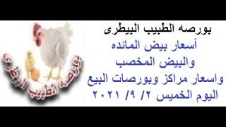 أسعار البيض اليوم الخميس 2/ 9/ 2021 ( بورصه الطبيب البيطرى )