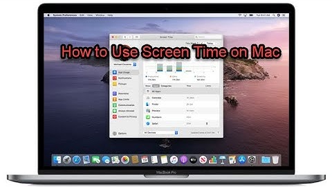 How to Use Screen Time on Mac