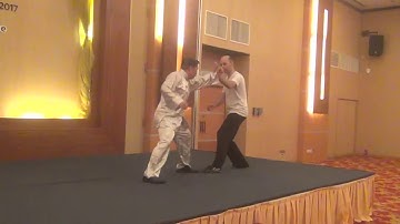 Avoiding Falls and Using Swinging Arms and Snap Kicks in Shaolin Tantui