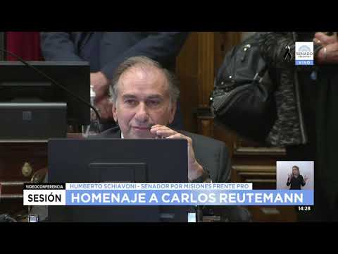 SDOR. HUMBERTO SCHIAVONI - SESIÓN ESPECIAL 15-07-21