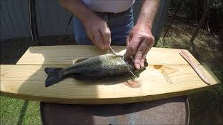 How to fillet a bass