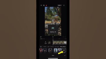Master the Absorb Clone Effect | Video Editing Tutorial #fok #CapCut