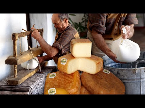 Vídeo: Tillamook Cheese Factory: La guia completa