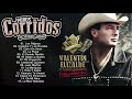 Valentin Elizalde Puras Cumbias   20 Mejor Exitos