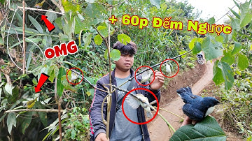 Thử Thách 120 Giây Bẫy Chim Bằng Bẫy Đơn Giản | Dân Tộc Tây Bắc Tv